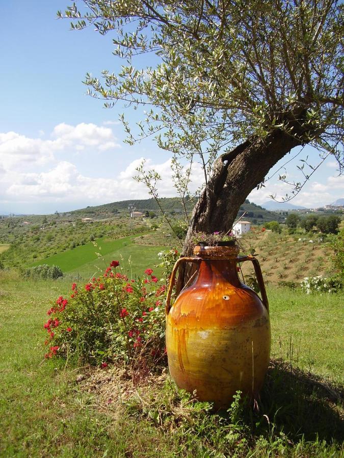 Abruzzocasacampagna Collecorvino - Monolocale Con Mini-Cucina, Giardino E Parcheggio Villa Exterior photo